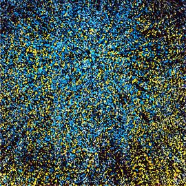 Kosmische Geboorte van Zebra404 - Art Parts