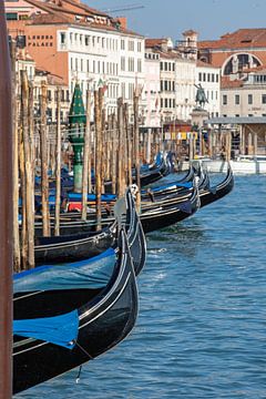 Gondolas on St Mark's Square in Venice by t.ART