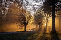 Breath of nature