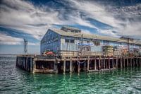 Monterey Harbor