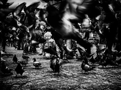 Who's afraid of birds?