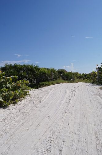 Eingang zum Strand von Tulum