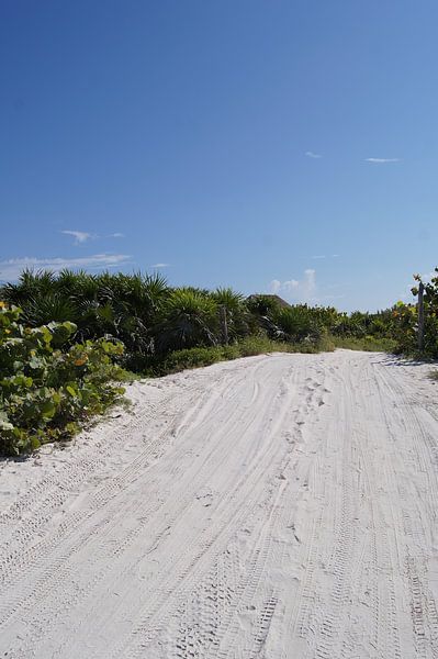Eingang zum Strand von Tulum von Jadzia Klimkiewicz