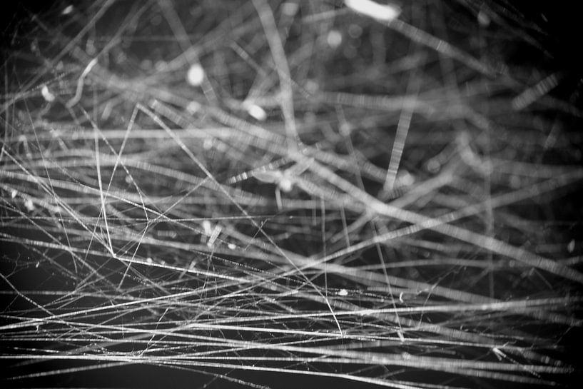 Abstraktes Spinnennetz von Marjolijn Maljaars