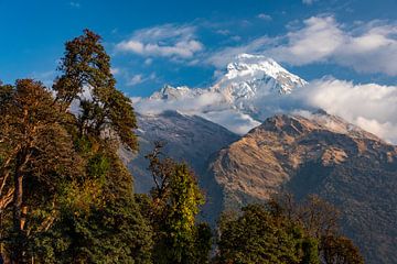 annapurna van Alex Neumayer