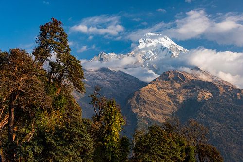 annapurna