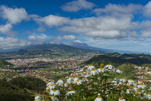 San Cristobal de La Laguna, daarachter de Pico del Teide, Tenerife van Walter G. Allgöwer