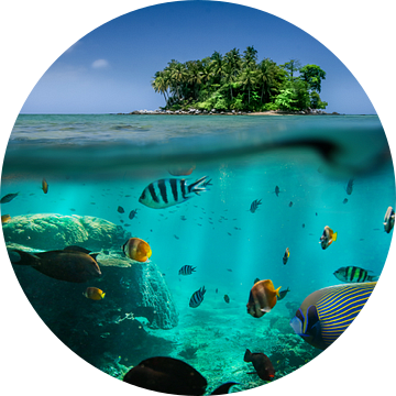Eenzaam tropisch eiland met uitzicht op de onderwaterwereld van Raphael Koch