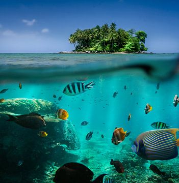 Île tropicale isolée avec vue sur le monde sous-marin sur Raphael Koch