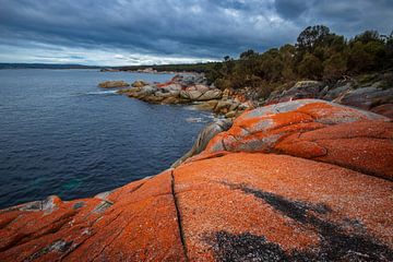 Bay of Fires by Ronne Vinkx