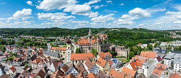 De stad Sigmaringen met het paleis Hohenzollern van Markus Keller