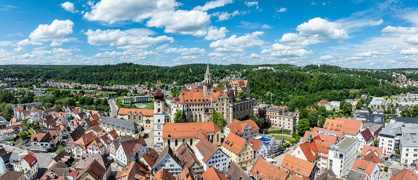 The town of Sigmaringen with the Hohenzollern Palace by Markus Keller