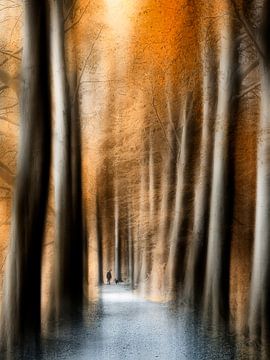 Pad door het oranje bos von Jacq Christiaan