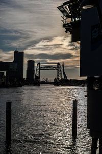 Rotterdam Skyline (Koningshavenbrug, de Hef)