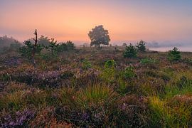 Sunrise Aekingerzand