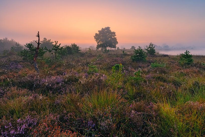 Zonsopkomst Aekingerzand van Henk Meijer Photography