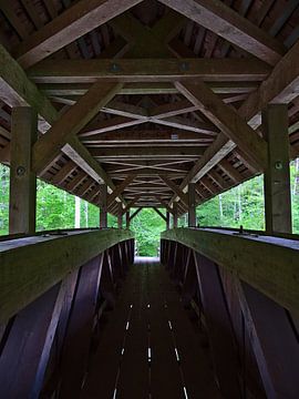 Overdekte brug over de Wutach van Timon Schneider