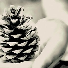 Dennenappel - Pine Cone von Elly Michiels-Fleuren
