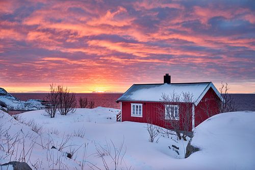 red hut in winter landscape in front of sea in atmospheric sunrise with clouds