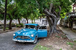 Havana