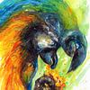 Kleurrijke papagaai. Handgeschilderde aquarel. van Ineke de Rijk