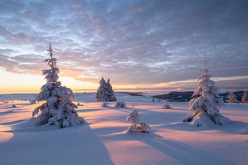 Gouden zonsopgang op de Feldberg
