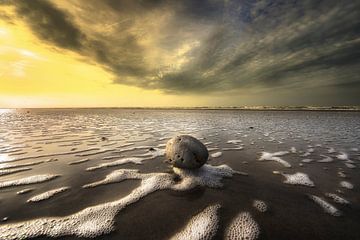A stone in the sea van Marc Hollenberg
