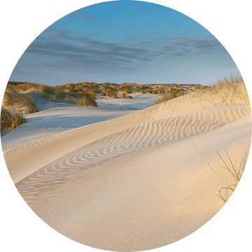 Jonge duinen in zonlicht - Natuurlijk Ameland van Anja Brouwer Fotografie
