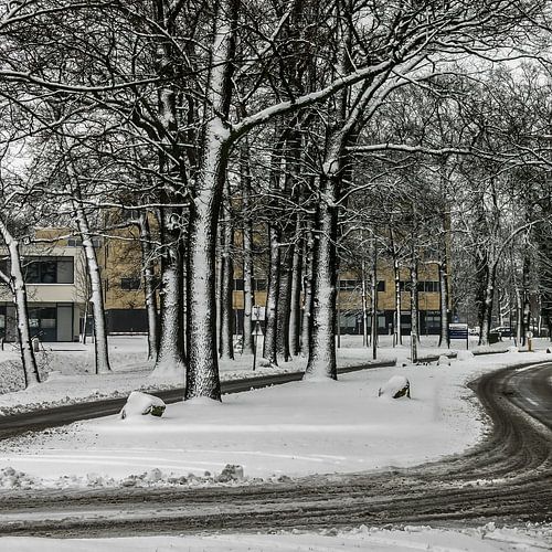 Winters beeld (1) - 2015