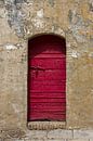 Opvallende rustieke rode deur in een verweerde gepleisterde muur van Wil Wijnen thumbnail