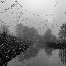 Mist, een spinnenweb en de zon die wilt doorbreken... van Natascha Worseling