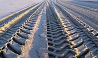 Traces in de sand van Jon Houkes thumbnail