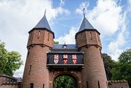 Castle de Haar by Ryan van Pelt thumbnail