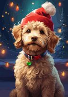 Kerst Labradoodle