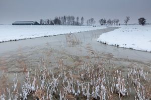 Oude Diepje near Winsum von Ron Buist