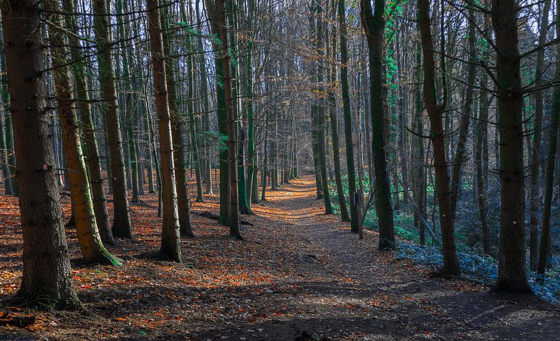 2 Saisons par Arash Mahdawi Nader