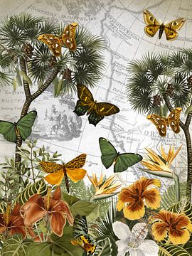 Eiland van de vlinders van christine b-b müller