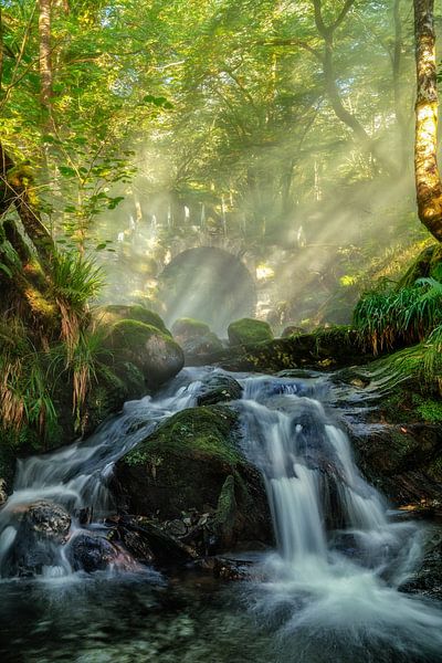 Feen-Brücke beim Wasserfall, Schottland von Lars van de Goor