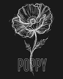 minimalist Poppy flower line art poster - black edition by moveit store