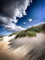 Dune Plume