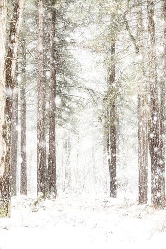 Winter Herperduin. by Ron van der Stappen