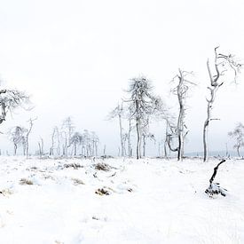 sneeuwlandschap van Alain Deflou