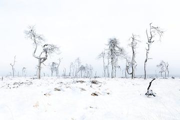 sneeuwlandschap van Alain Deflou