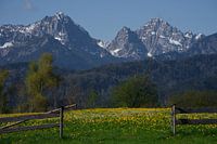 De poort aan de voet van de Alpen