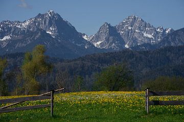 De poort aan de voet van de Alpen