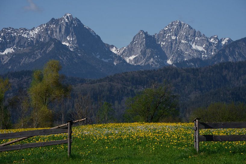 De poort aan de voet van de Alpen van Niels Steinmetz