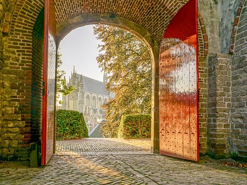 Leiden op zijn mooist! van Dirk van Egmond