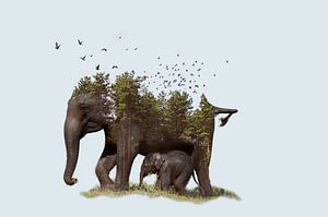 Des éléphants en harmonie avec la nature sur Reisverslaafd