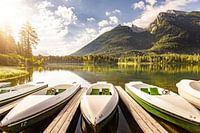 Vakantiestemming aan de Hintersee met betoverd bos in Ramsau