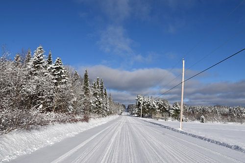 Een ijzige weg in de winter